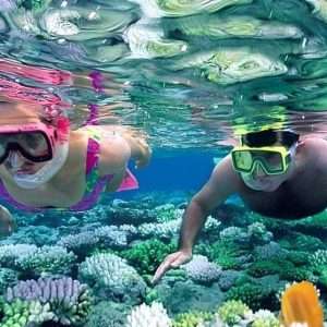 Paket Trip Nusa Penida Halfday + Snorkeling
